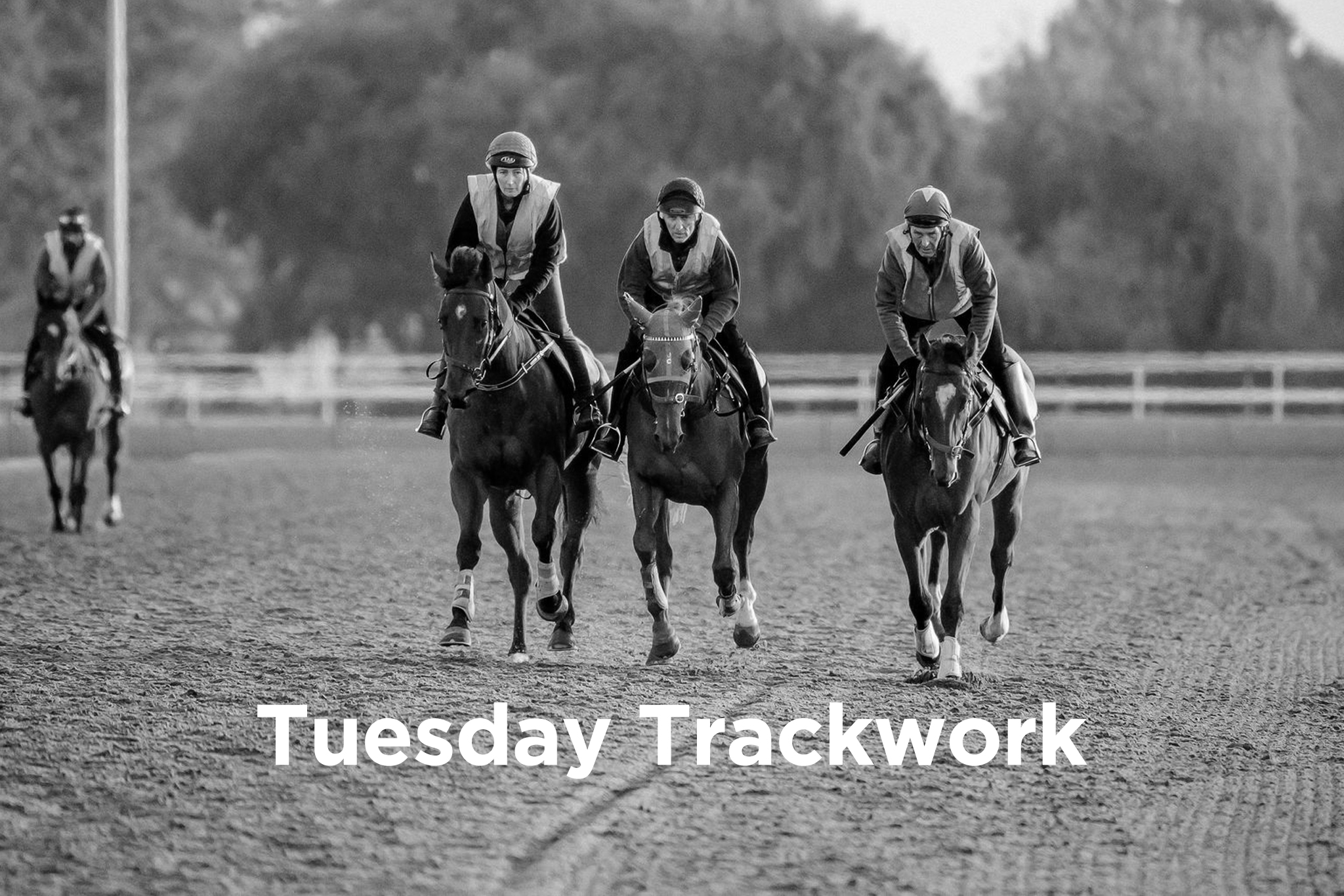 12 March 2024 Tuesday Trackwork Matamata Racing Club